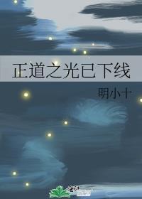 正道之光已下线免费阅读