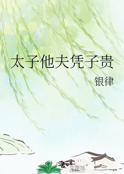 太子他夫凭子贵晋江