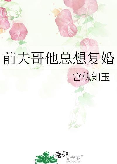 前夫总是想复婚