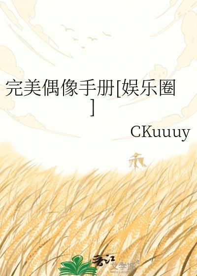 完美偶像在线阅读