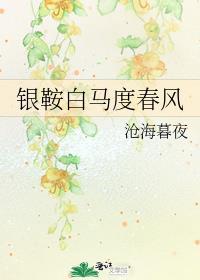 银鞍白马度春风txt百度