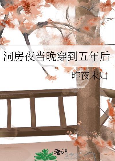 洞房夜当晚穿到五年后盘