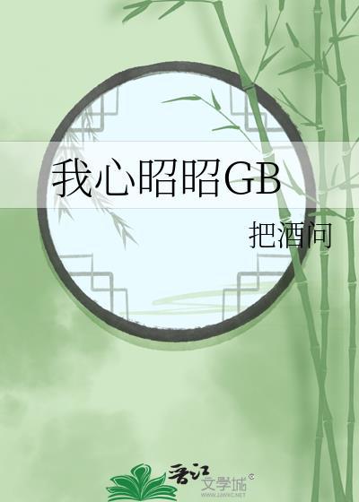 我心昭昭GB把酒问
