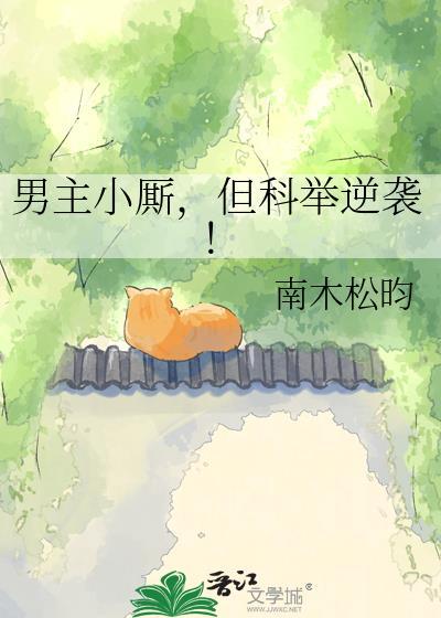 男主言情科举文