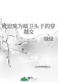 被迫成为暗卫头子的穿越女讲得什么