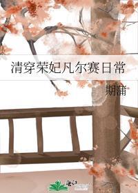 清穿之荣妃日常 书包网