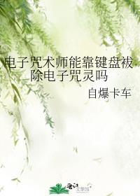 电子咒术师能靠键盘袚除电子咒灵吗作者自爆卡车