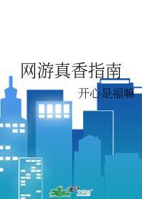 网游真香指南百度