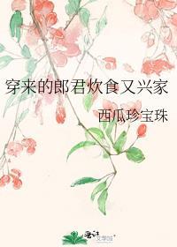 穿来的郎君炊食又兴家免费阅读