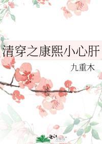 清穿之康熙小心肝 九重木