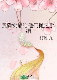 我确实都给他们抛过手绢讲的什么