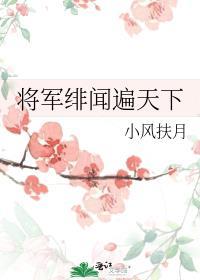 将军绯闻遍天下剧情