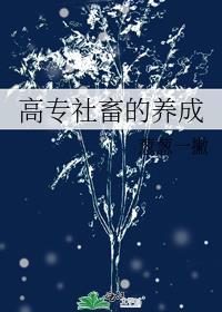 高专社畜的养成格格党
