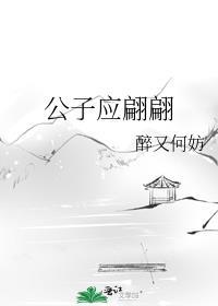 公子应翩翩txt百度