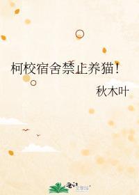 大学宿舍不让养猫