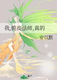 王者荣耀脆皮法师