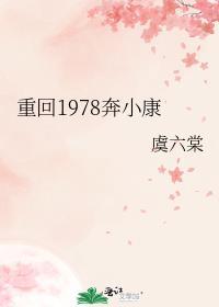 重返1978年