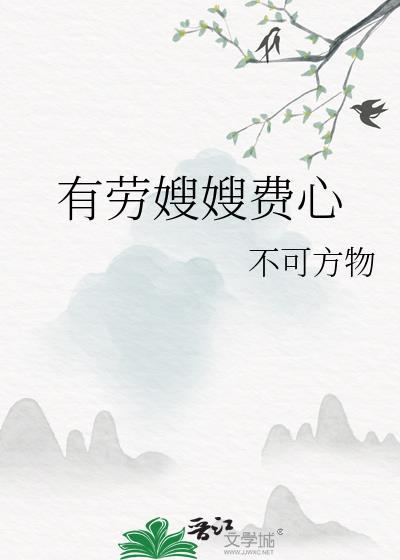 有劳嫂嫂费心大结局