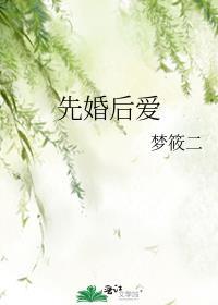 先婚后爱推荐现言
