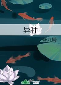 异种规则收了匹配者们的嫁妆后多久更新