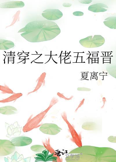 清穿大福晋晋江