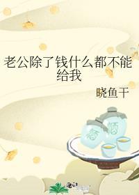 老公除了钱什么都不能给我作者晓鱼干