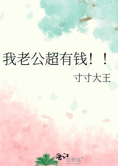 我老公超有钱!!作者寸寸大王
