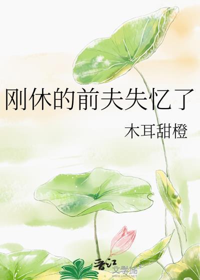 刚休的前夫失忆了木耳甜橙免费