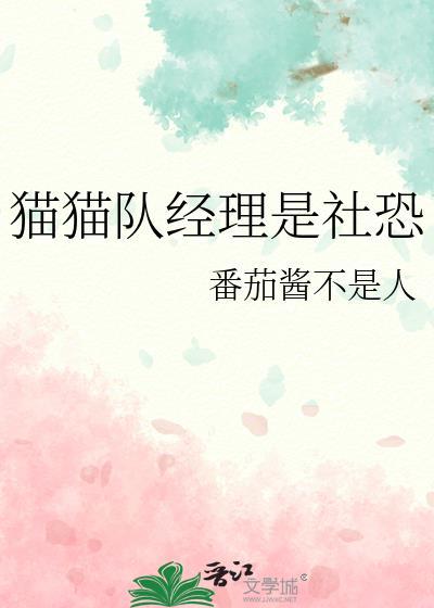 猫猫队长