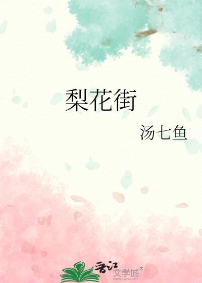 梨花街番外篇正版阅读