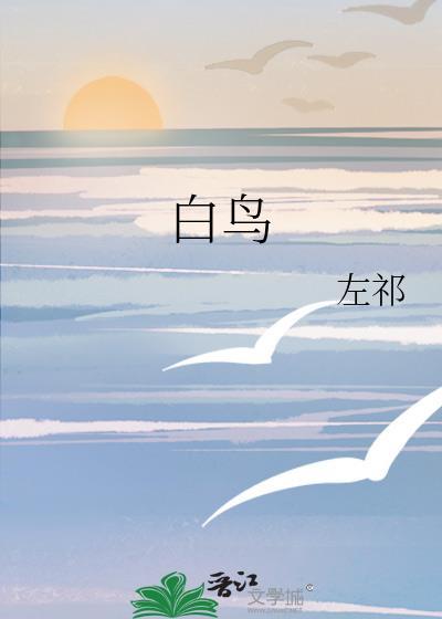 白鸟代表什么生肖
