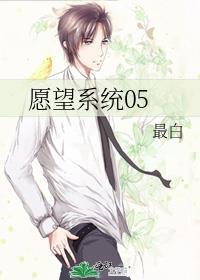愿望系统双性系统