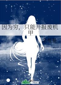 因为穷只能开报废机甲百度