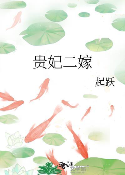 贵妃二嫁by起跃