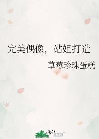 完美偶像，站姐打造