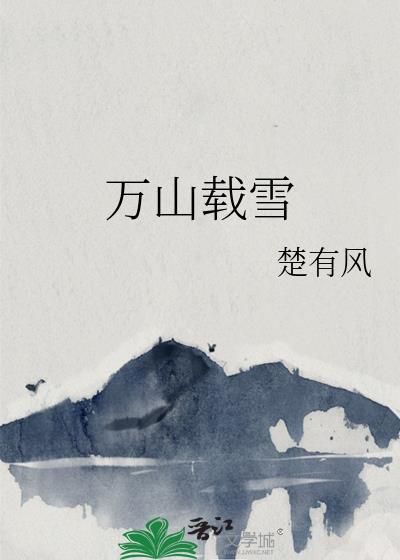 万山载雪