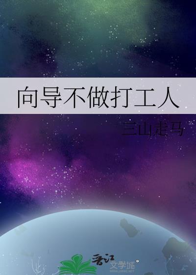 向导不做打工人